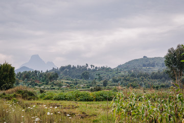 Fototapeta na wymiar landscape in Rwanda Africa