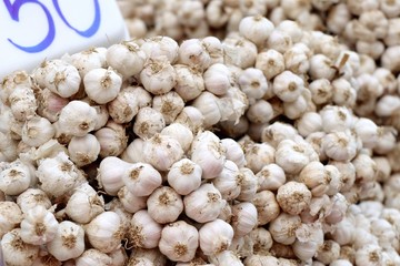 garlic at the market