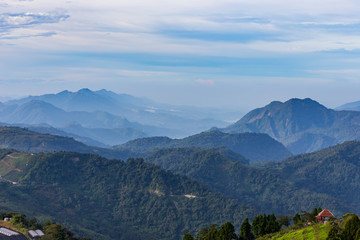 Mountains, tea gardens and fog in Taiwan.