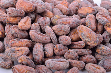 Cacao Beans