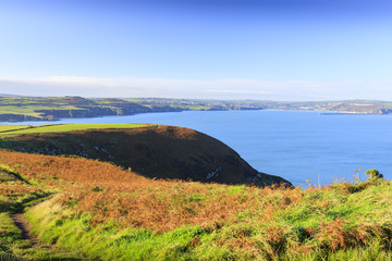 Coast Path at Dinas Head nr Fishguard Pembrokeshire Wales