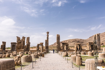 ancient city of Persepolis in Iran - obrazy, fototapety, plakaty