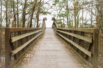 Obraz premium Wooden bridge in park