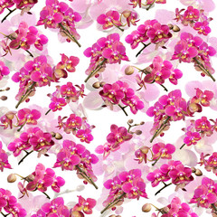 Orchid pattern on the background of orchids