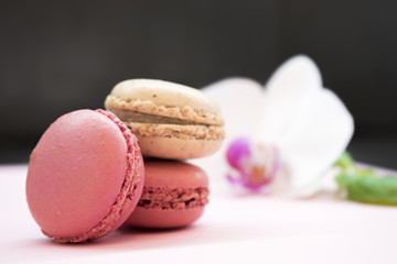 Obraz premium Tender pink and cream macarons and flower on black stone background. soft focus