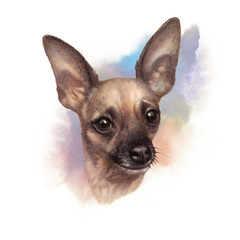 The Chihuahua is the smallest breed of dog, a brown toy terrier on watercolor background. Watercolor Animal collection: Dogs. Cute puppy Portrait - Hand Painted Illustration of Pet. Design template