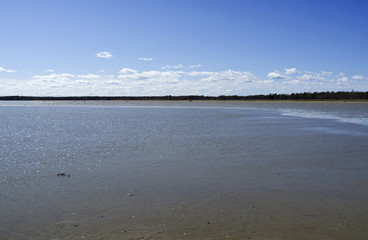 Laesoe / Denmark: View over the wide mudflat at Bovet Bugt at low-tide