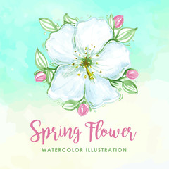 Flower Border Watercolor Illustration