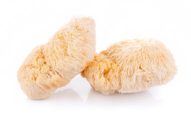 lion mane mushroom isolated on white background © nortongo