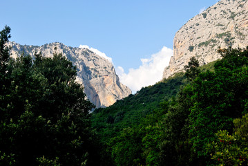 Le cime della gola di Gorropu
