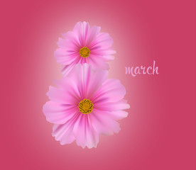 Women's day greeting card. Postcard on March 8