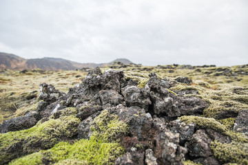 Fototapeta na wymiar Icelandic landscapes