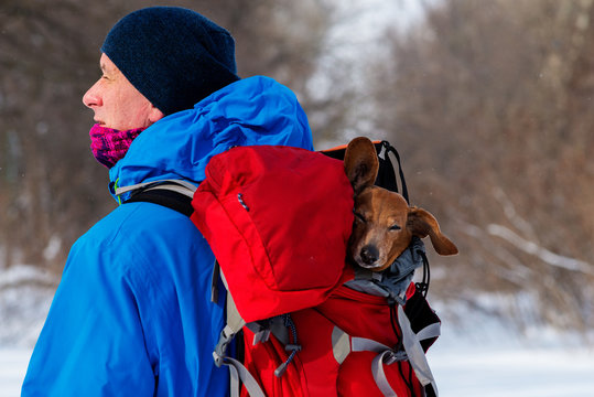 Happy man carries in his backpack a funny dog