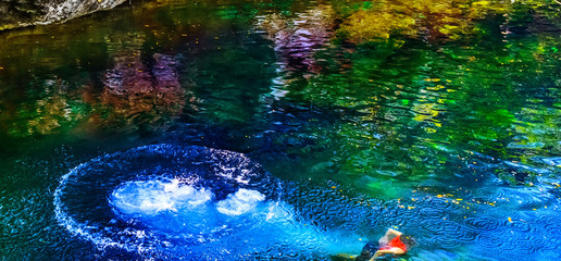 Человек прыгает в голубое озеро. Сенот Мексика