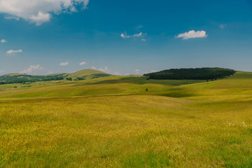 Fototapeta premium Mountain pasture in springtime