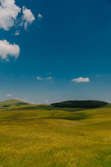 Mountain meadows in springtime