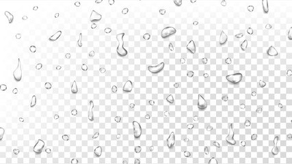 Water Drops Background Vector. Wet Backdrop. Clean Fresh Water. Abstract Bubble. Isolated On Transparent Background Illustration