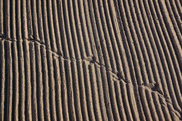 Cleaned by a tractor sand on the Mediterranean beach