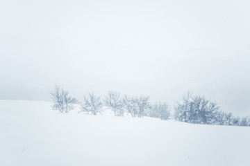 A beautiful minimalist landscape in heavy snowfall. Blizzard in central Norway.