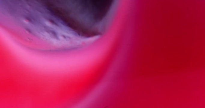 Extreme macro of bubbles in blue jello cream (gel). 4k.
