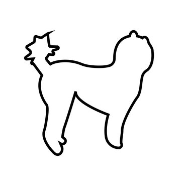 poodle silhouette clip art outline on white background
