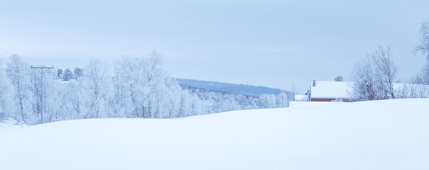 A beautiful winter landscape with snowy trees and mountains in a distance in central Norway.