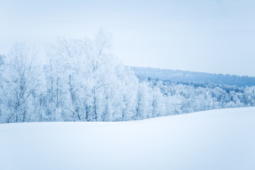 A beautiful winter landscape with snowy trees and mountains in a distance in central Norway.