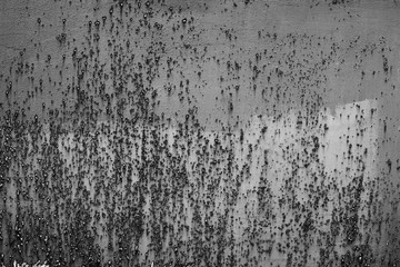 Metal texture with scratches and cracks