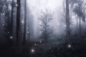surreal forest with magical sparkles floating in the fog