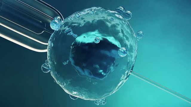Artificial insemination in a scientific laboratory under a close-up view microscope. Fertilization of an egg cell, ovum, ovule. Concept origin of a new organism, life. 4K 3D animation