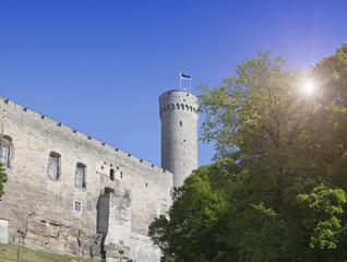 Fototapeta na wymiar Tall Hermann tower .Tallinn, Estonia