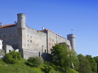 Fototapeta na wymiar Toompea Castle on Toompea hill (Tall Hermann tower). Tallinn, Estonia