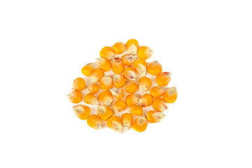 dried corn isolated on white background