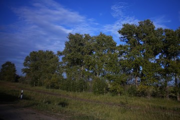 Steppen und Wälder in Kasachstan!