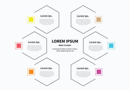 Infographic Layout with Hexagonal Borders and Multicolored Accents 1