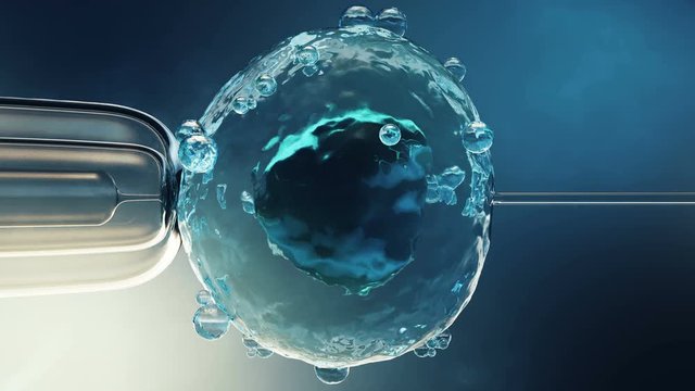 Artificial insemination in a scientific laboratory under a close-up view microscope. Fertilization of an egg cell, ovum, ovule. Concept origin of a new organism, life. 4K 3D animation