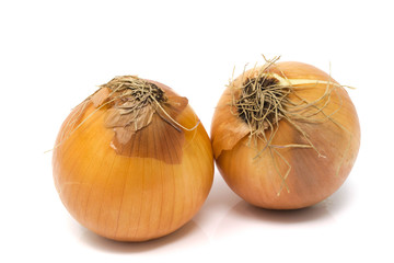 Studio shot of two yellow onions