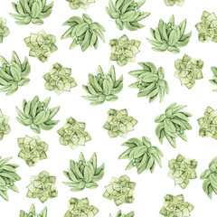 Seamless pattern with green succulent plants on white background. Hand drawn watercolor illustration.