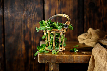 свежий салат корн в плетеной корзине с каплями воды