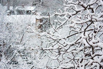Paesaggio urbano con i rami di un albero coperti di neve