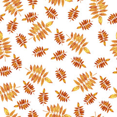 Seamless pattern with orange fall leaves on white background. Hand drawn watercolor illustration.