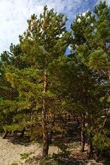 See,Strand,Kasachstan!