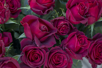 Bunch of slightly faded red roses.