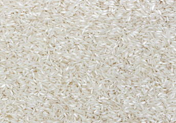 Polished rice grain texture