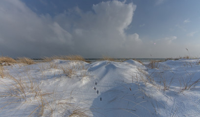 spuren im schnee