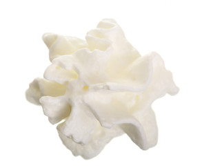 whipped cream or meringue isolated on white background. Top view. Flat lay