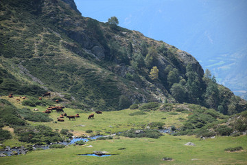 Fototapeta na wymiar Parque Natural del Alto Pirineo