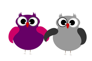 Vector illustration a pair of owls on white background.