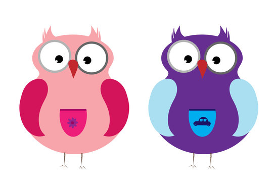 Vector illustration a pair of owls on white background.