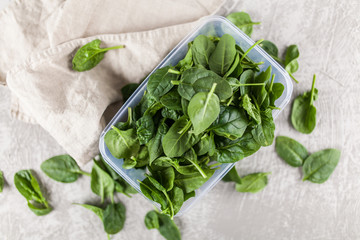 Baby spinach leaves